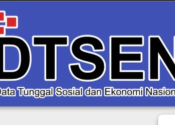 Apa Itu Desil DTSEN? Berikut Pengertian dan Cara Pengecekan