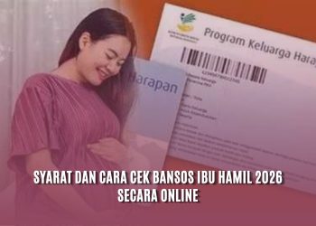 Syarat dan Cara Cek Bansos Ibu Hamil 2026 Secara Online