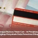 Kenapa Bansos Tidak Cair : Ini Penjelasan Lengkap Penyebab Data Penerima Dihapus