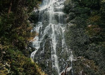 5 Tempat Wisata Alam di Labuhanbatu yang Punya Pemandangan Eksotis
