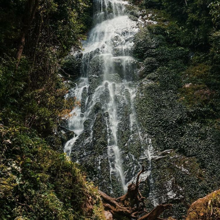 5 Tempat Wisata Alam di Labuhanbatu yang Punya Pemandangan Eksotis