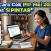 Cara Cek PIP Mei 2026 Secara Online Lewat SIPINTAR
