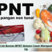 Cara Cek Bansos BPNT dengan Cepat Menggunakan Hp