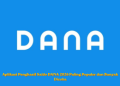 Aplikasi Penghasil Saldo DANA 2026 Paling Populer dan Banyak Dicoba