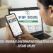 Cek PIP 2026 Secara Online