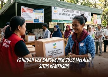 Panduan Cek Bansos