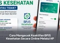 Cara Mengecek Keaktifan BPJS Kesehatan Secara Online Melalui HP