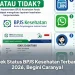 Cek Status BPJS Kesehatan Terbaru 2026, Begini Caranya!