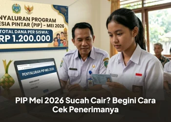 PIP Mei 2026: Simak Cara Ceknya Secara Online