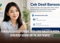 Panduan Cek Desil Bansos 2026 Lewat NIK KTP di DTSEN Kemensos Secara Online dan Praktis