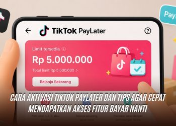 TikTok Paylater 2026