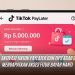 TikTok Paylater 2026