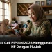 Cara Cek PIP Juni 2026 Menggunakan HP Dengan Mudah