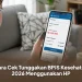 Cara Cek Tunggakan BPJS Kesehatan 2026 Menggunakan HP
